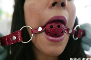 american blindfold tied blowjob