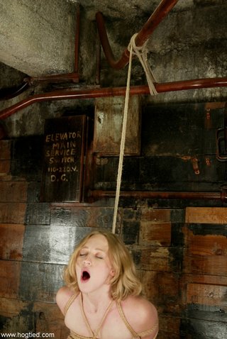bondage, tits, torture