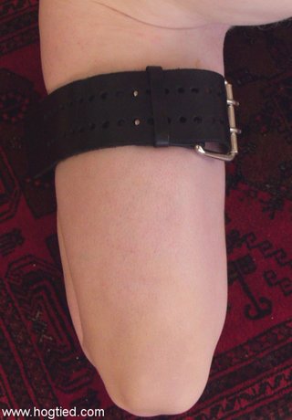 bdsm, bondage, masked, nipples