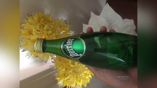 italian camgirl squirt