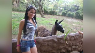 girl live sex