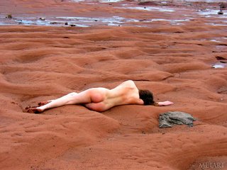 amateur naturaleza