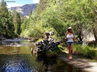 american, big tits, tits, wet