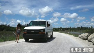 blindfolded, rough sex, used, van