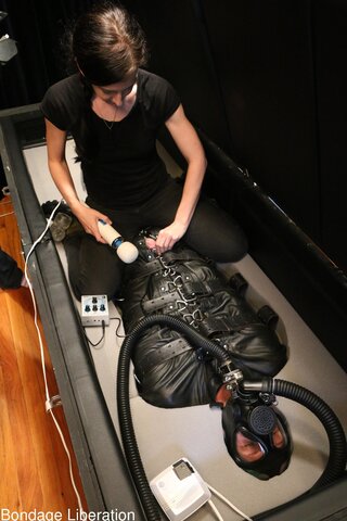 gimp polla teased restrained